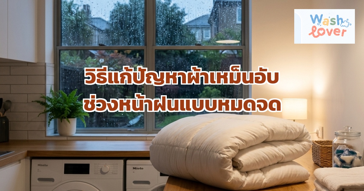วิธีแก้ปัญหาผ้าเหม็นอับช่วงหน้าฝนแบบหมดจด ไม่ต้องง้อแดด