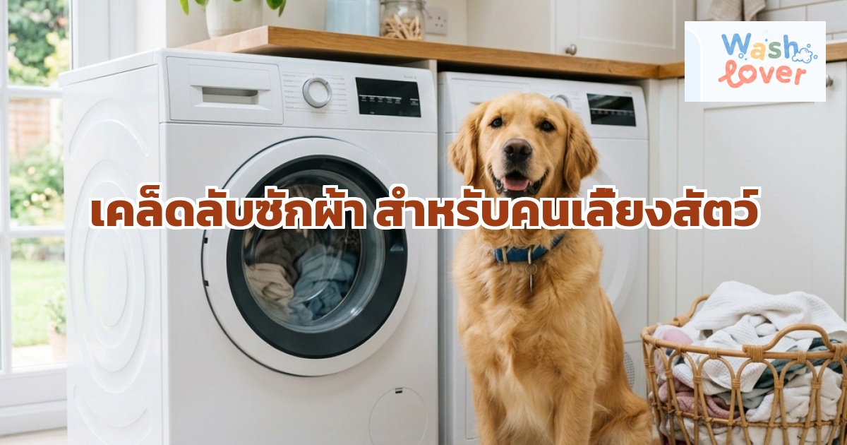 เคล็ดลับซักผ้าสำหรับคนเลี้ยงสัตว์ ขจัดขนและกลิ่นสาบหมดจด