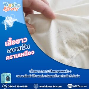 เสื้อขาวมีรอยจ้ำเหลืองจากเชื้อราที่เกาะ undetectable หลังจากเก็บผ้าไว้นานในที่ชื้น