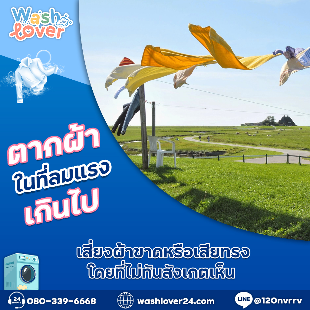 ตากผ้าในที่ลมแรงเกินไป เสี่ยงผ้าขาดหรือเสียทรงโดยที่ไม่ทันสังเกตเห็น