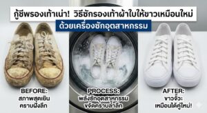 กู้ชีพรองเท้าเน่า! วิธีซักรองเท้าผ้าใบให้ขาวเหมือนใหม่ ด้วยเครื่องซักอุตสาหกรรม