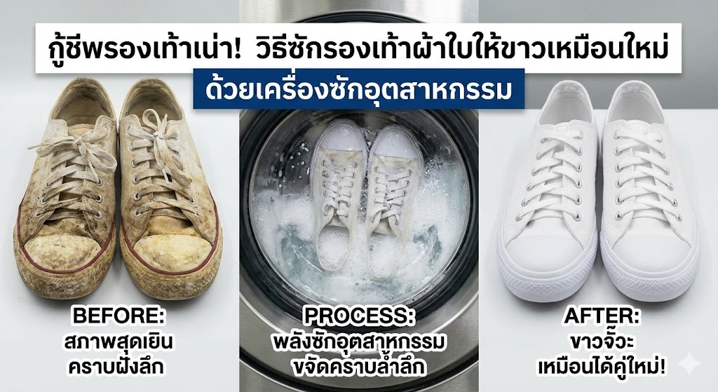 กู้ชีพรองเท้าเน่า! วิธีซักรองเท้าผ้าใบให้ขาวเหมือนใหม่ ด้วยเครื่องซักอุตสาหกรรม