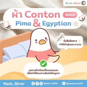 ผ้า Cotton Pima & Egyptian คืออะไร ทำไมถึงนุ่มและหรูหราที่สุด