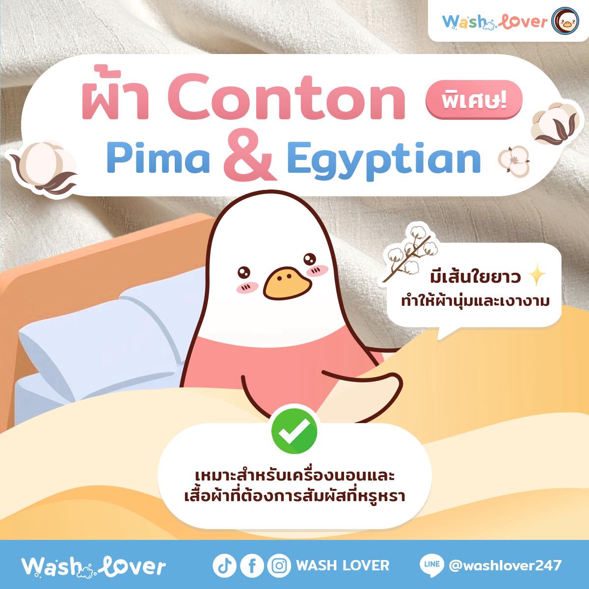 ผ้า Cotton Pima & Egyptian คืออะไร ทำไมถึงนุ่มและหรูหราที่สุด
