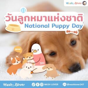 วันลูกหมาแห่งชาติ 23 มีนาคม