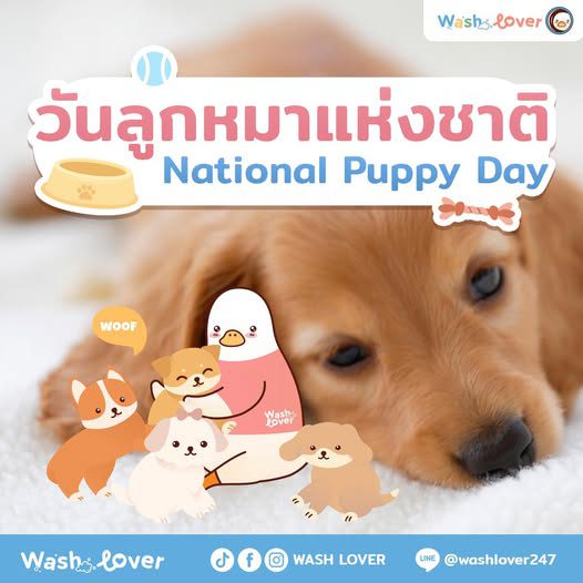 วันลูกหมาแห่งชาติ 23 มีนาคม