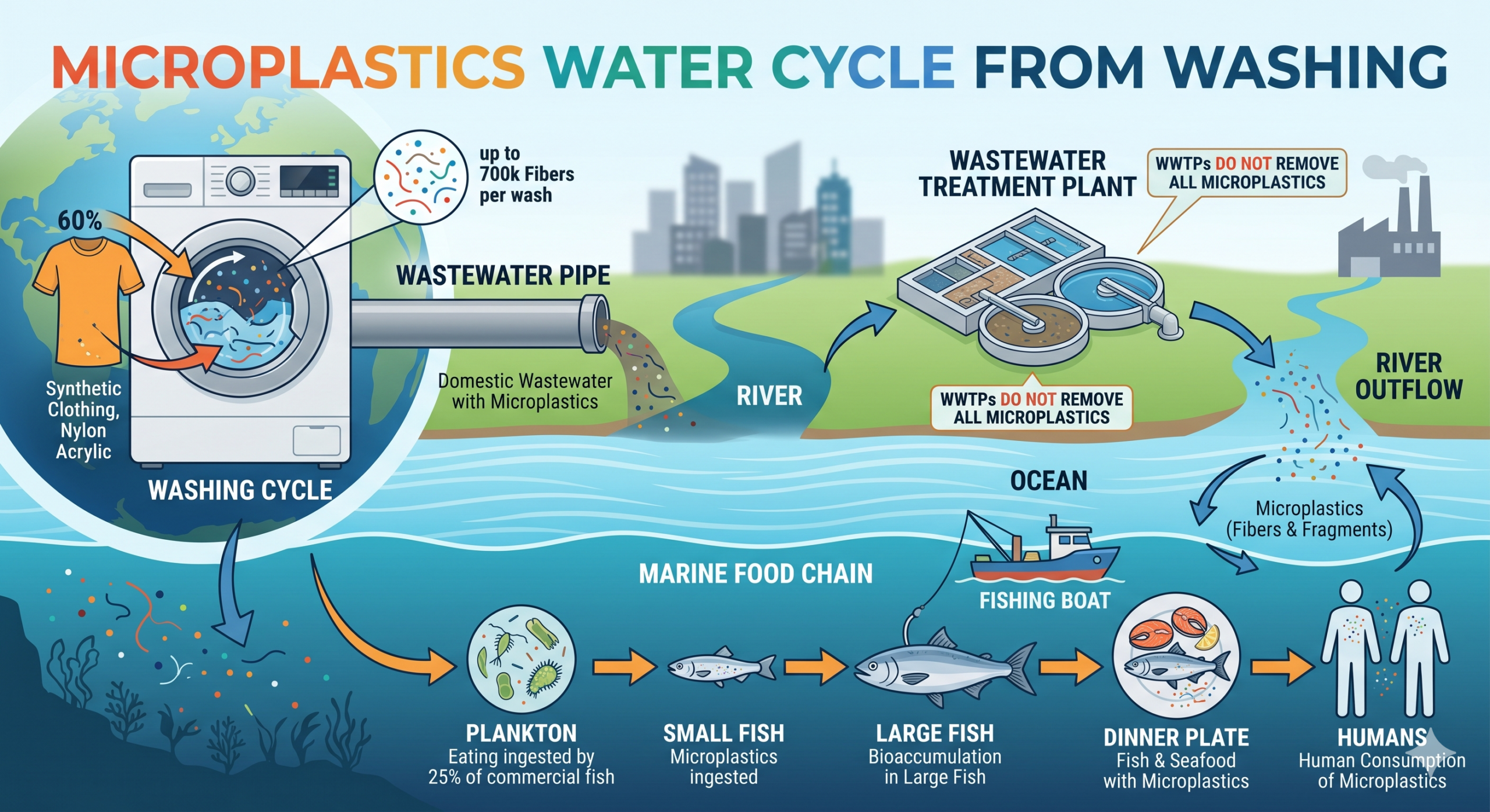 แผนภาพแสดงการหลุดรอดของไมโครพลาสติกจากเครื่องซักผ้าลงสู่แหล่งน้ำและสัตว์น้ำ